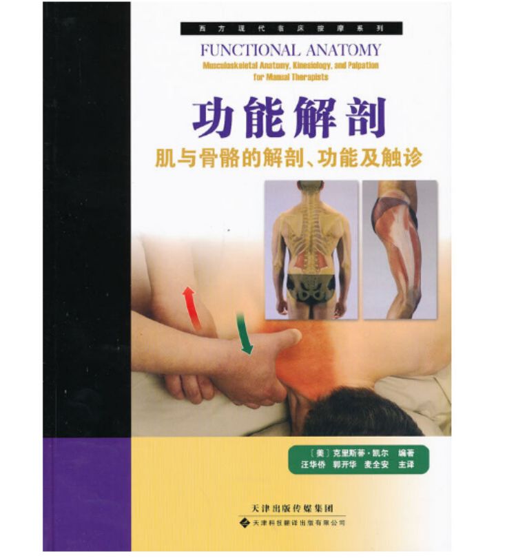 《功能解剖:肌与骨骼的解剖、功能及触诊》PDF电子版免费下载