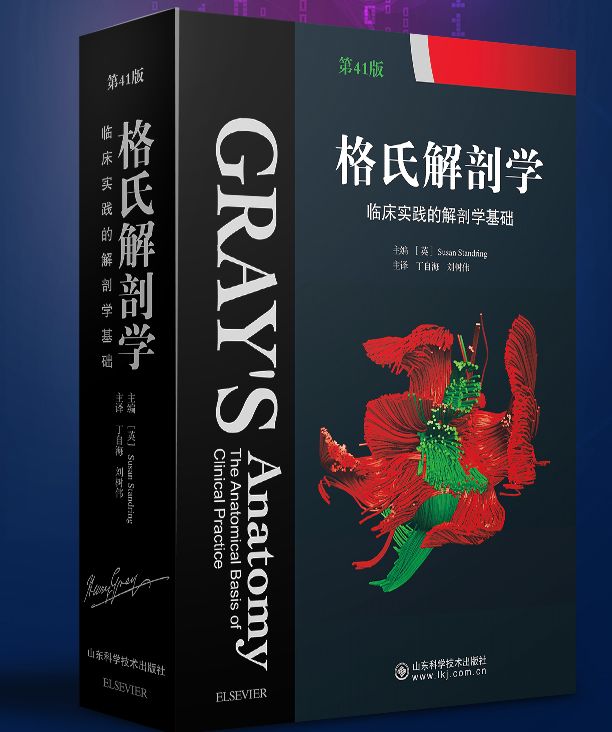 《格氏解剖学 临床实践的解剖学基础》第41版彩色中文版.PDF电子版免费下载