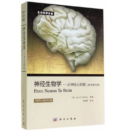 《神经生物学-从神经元到脑》原书第5版_杨雄里主译.PDF电子版免费下载
